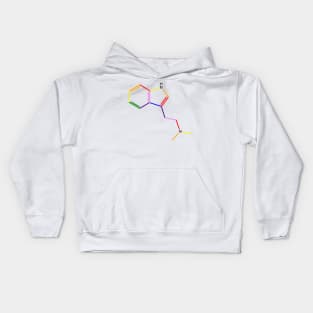 DMT Molecule Rainbow Chemistry Kids Hoodie